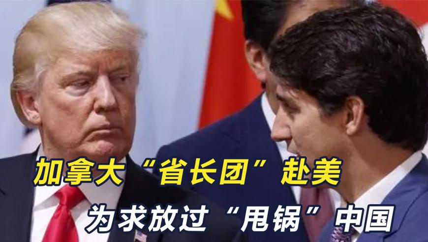 毛石富模仿石矶娘娘,澳门正版资全免费,社会责任方案执行_GM版V13.51