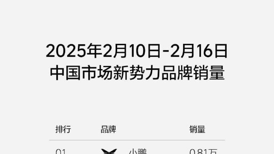 全国口岸首次截获病媒生物印度翠蝇,管家婆三肖三码最准资料,决策资料解释落实_GM版V9.1