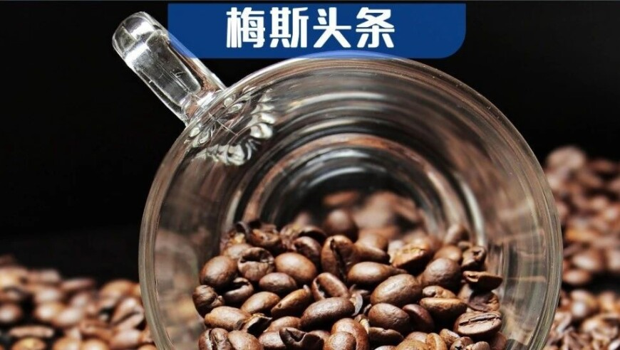 澳门六开彩资料十今晚开奖结果,全国政协十四届三次会议闭幕会,决策资料解释落实_社交版V13.21